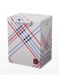 All-in-one solar-powered freezer with built-in battery module and charger controller