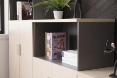 Office Decorative Filing Cube Cabinet Book Shelves