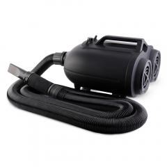 SPTA New Car Dryer Doulble Motor Car Air Cannon Blower