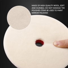 SPTA Japanese Wool Polishing Pads Set with different surface