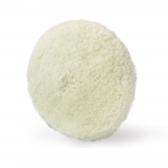 SPTA 7