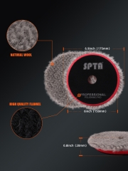 SPTA 3