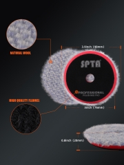 SPTA 3