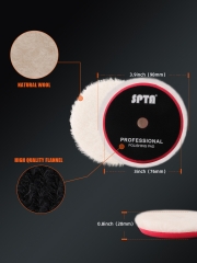 SPTA 3