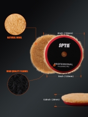 SPTA 3