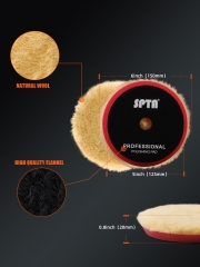 SPTA 3