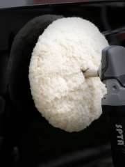 SPTA 7