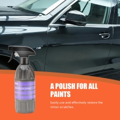 SPTA CL024 Car Polish Spray