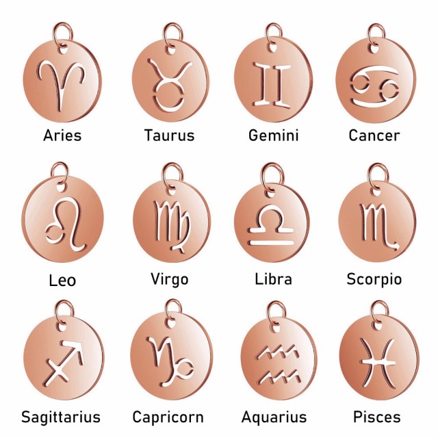 Zodiac pendant astrology horoscope disc charm in Stainless steel with rose gold plating T445-R-1