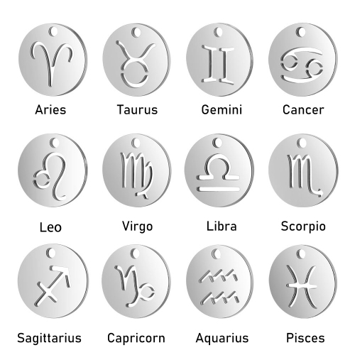 Zodiac sign pendant astrology horoscope disc charm in Stainless steel T095-S-1
