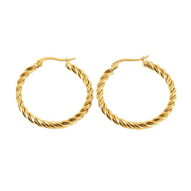 Simple Stainless Steel Stunning Hoop Earrings