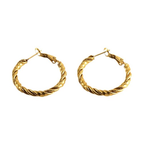 JY557  Fashion Hoop Earrings   in Stainless Steel