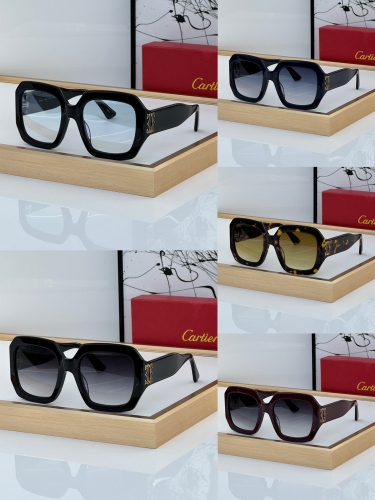 Boutique grade Cartier Sunglasses