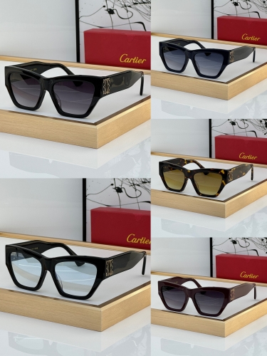 Boutique grade Cartier Sunglasses