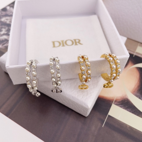 Top grade Dior earring