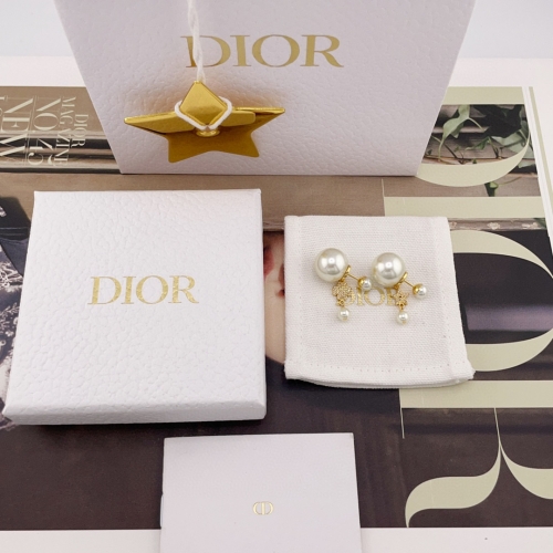 Top grade Dior earring