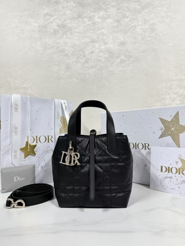 Dior Toujours small