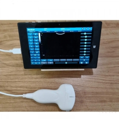 IN-AUP20 convex/linear ultrasound probe cheapest usb ultrasound probe for labtob/tablet