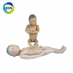 IN-403 Human Natural Size Magnified Uterus Model