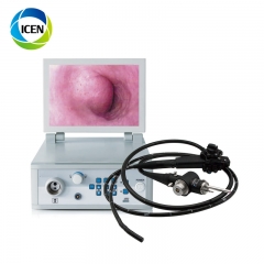 IN-PV68 Good quality Medical Devices Electronic Endoscope Video Gastroscope Colonoscope Animal Endoscope price