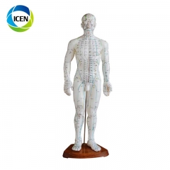 IN-501 high quality meridian point human body acupuncture model 26CM mini size acupuncture model