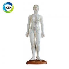 IN-501 high quality meridian point human body acupuncture model 26CM mini size acupuncture model