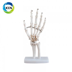 IN-104 Hot PVC Life-Size Foot Joint Model Bones of Foot Skeleton Model