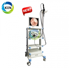 IN-P300 meidcal device portable video veterinary gastroscope flexible colonoscope digital endoscope