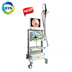 IN-P300 endoscopic portable China gastroscope and colonoscope veterinary endoscope