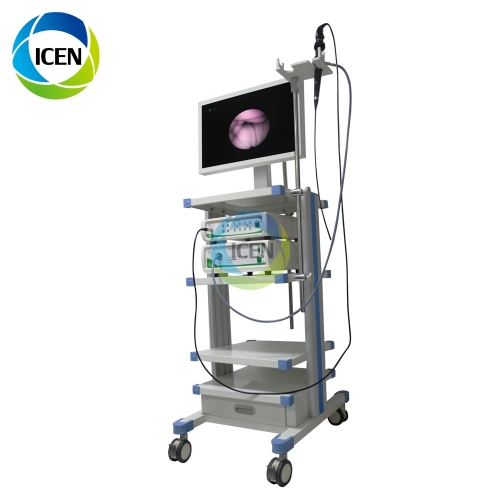 IN-PG9 electronic endoscope camera medical video Fiber Cysteroscope choledochoscope/Hysteroscope price