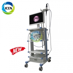 IN-PG9 electronic endoscope camera medical video Fiber Cysteroscope choledochoscope/Hysteroscope price