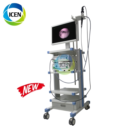 IN-PG9 digital endoscope instrument Fiber Cysteroscope/ /Hysteroscope /choledochoscope