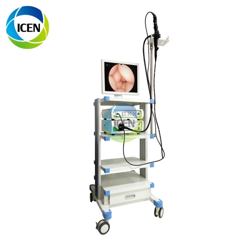 IN-P300 portable endoscopy set video flexible gastroscope veterinary mini endoscope camera