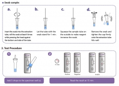 IN-COV-2 quantitative and qualitative covid-19 saliva cov/sars antigen rapid test