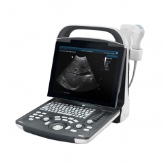 Mindray Dp-10 Portable Ultrasound Scanner Machine Digital B/w Ultrasound System