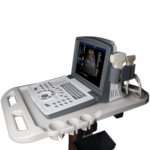 ICEN Hot Sell Portable Laptop 2d Digital Veterinary Color Ultrasound Scanner