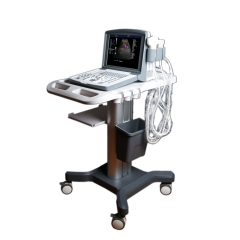 ICEN Hot Sell Portable Laptop 2d Digital Veterinary Color Ultrasound Scanner