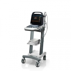 Medical 3d Ultrasound Bw Ultrasound Machine With Convex Probe