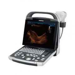 Medical 3d Ultrasound Bw Ultrasound Machine With Convex Probe