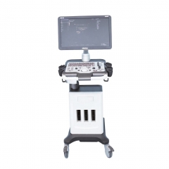Mindray Medical Full Digital Ultra Sound Therapy Device Mindray Dc-26 Ultrasound Machine Color Doppler