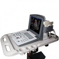 ICEN Good Price China Black White Ultrasound Portable Full Digital Diagnostic Ultrasound Scanner