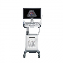 ICEN Original Mindray Dc-26 Ultrasound Diagnostic Imaging System Color Doppler Ultrasound System