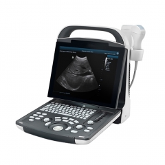 Mindray Dp-10 Portable B/w Ultrasound Machine Ultrasonic Imaging System