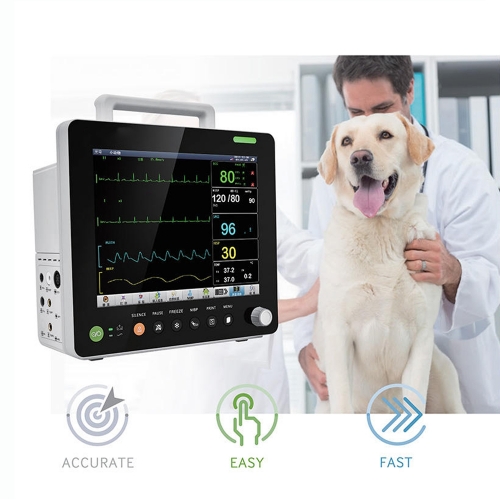 ICEN 12.1 Inch Portable Veterinary Vet Vital Sign Monitor Pulse Etco2 Ecg Monitor Animal Vet Monitor