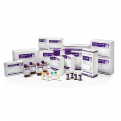 Mindray Original Chemistry Analyzer Reagents Bs-120 Bs-200 Bs-220 Bs-230 Bs-240 Bs-330 Bs-350 Alb Alp Alt Ua Urea