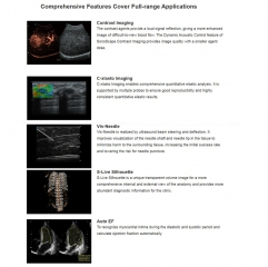 P25 sonoscape Portable Therapeutic Ultrasound Machine Physical Therapy For Pain Relief Inflammation