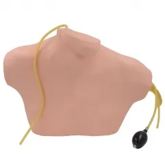 IN-N02 Medical Science Ultrasound Guided Central Venipuncture Model For Teaching Jugular Vein Subclavian Vein Puncture Model
