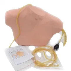 IN-N02 Medical Science Ultrasound Guided Central Venipuncture Model For Teaching Jugular Vein Subclavian Vein Puncture Model