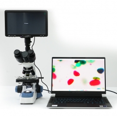 B129A Trinocular Usb Biological Digital Microscope With Camera