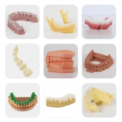 IN-DJ89 Digital Dental 3d Printer Accufab-l4d Dental 3d Printer Professional Dental Software